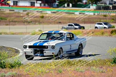 media/Apr-27-2024-LA Shelby Club (Sat) [[ca61902bd2]]/White Group/Session 1 (Turn 2)/